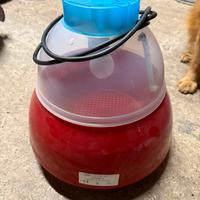 Incubatrice manuale river 12 uova