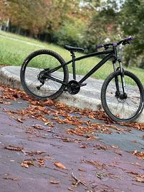 Bici MTB Crow 27.5