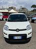 fiat-panda-1-0-firefly-s-s-hybrid