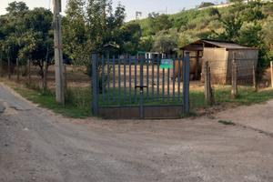 Terreno agricolo mq 1000