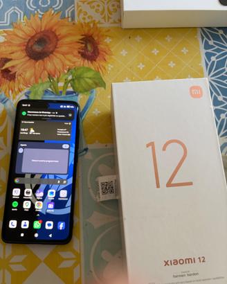 Xiaomi 12 da 256 gb