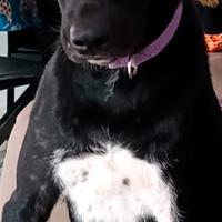 Kira 3 Anni
