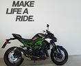 kawasaki-z-900-2026