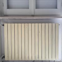 Termosifoni in ghisa