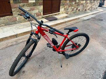 Bicicletta SCOCCA 6061