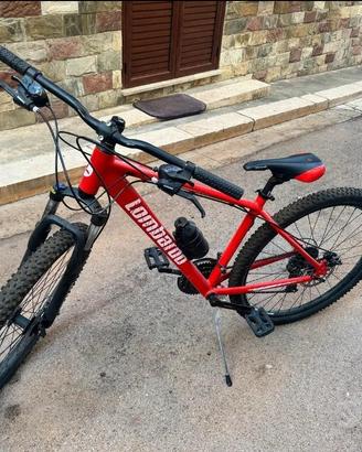 Bicicletta SCOCCA 6061
