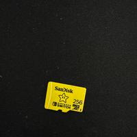 Micro sd sundisk