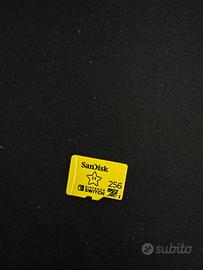 Micro sd sundisk