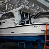 Calafuria 8 big cruise