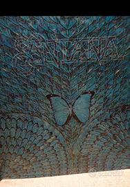 Santana - Borboletta - vinile 