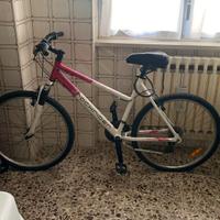 Bicicletta Rockbider 5.1