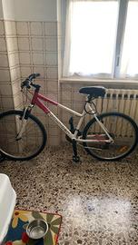 Bicicletta Rockbider 5.1