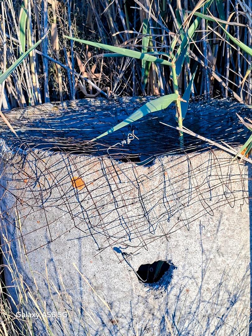 Terreno con rudere e pozzo per irrigazione - Vista 5