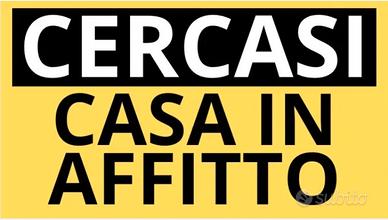 Appartamento 3 o 4 vani non arredato