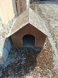 Cuccia