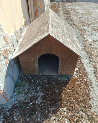 Cuccia