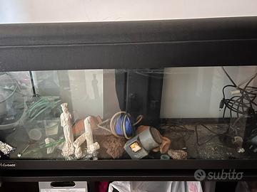 Acquario 100 lt