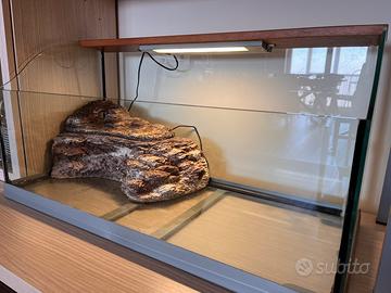 Acquario per tartarughe