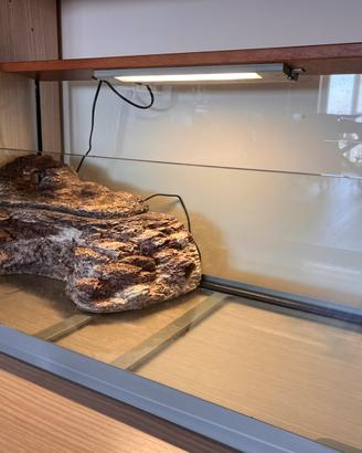 Acquario per tartarughe