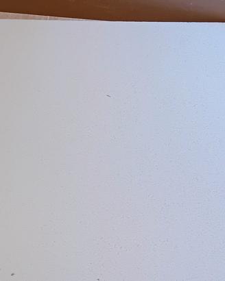 Pannelli controsoffitto