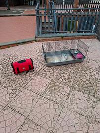 Gabbia grande per  coniglio + trasportino