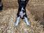 Immagine 6