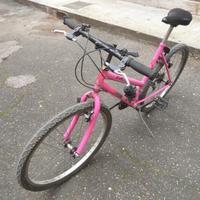 Bicicletta Mountabike 