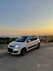 Panda 1.3 2016