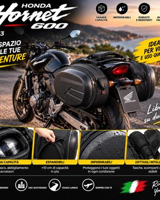 Borse laterali moto
