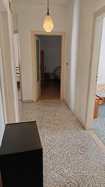 Posto letto in via re David Bari