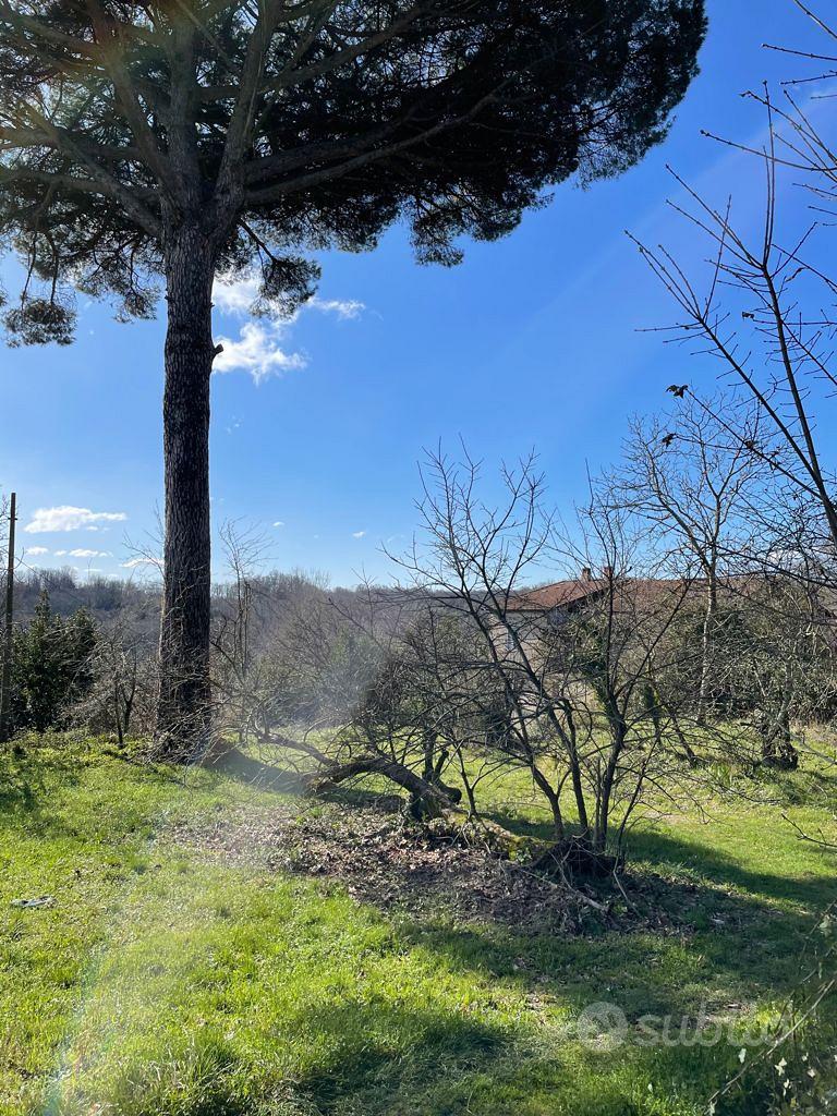 Proprietà rustica - Vista 2