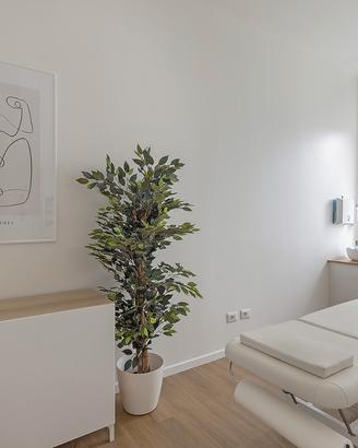 Studio per fisioterapia e massaggi | Roma