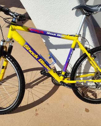 mountain bike