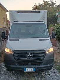 furgone mercedes sprinter 516 cdi con cella frigo