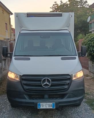 furgone mercedes sprinter 516 cdi con cella frigo