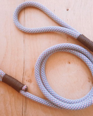 Guinzaglio per cane con corda d'arrampicata ricicl