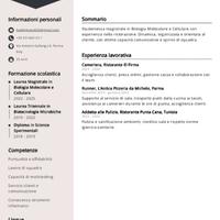 Cammeriera,runner,pulizia, lavapiatte