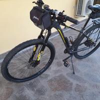 Bici Bottecchia