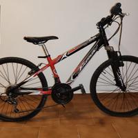 NR. 3 BICICLETTE RAGAZZINO/A RUOTE DA 24 POLLICI