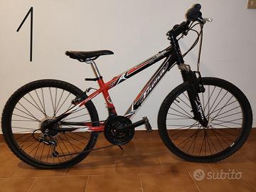 NR. 3 BICICLETTE RAGAZZINO/A RUOTE DA 24 POLLICI