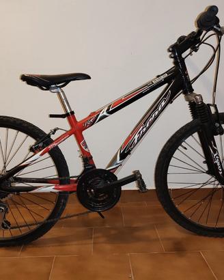 NR. 3 BICICLETTE RAGAZZINO/A RUOTE DA 24 POLLICI