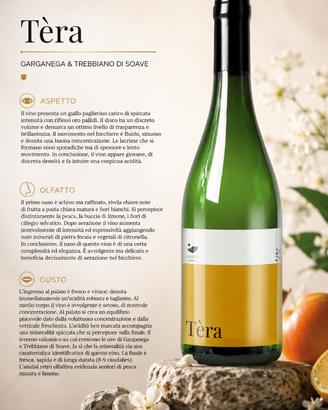 Vino Tèra Trentino Alto Adige IGP