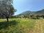 Immagine 30