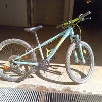 MTB CUBE ACID