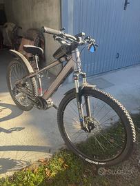 Bicicletta Elettrica