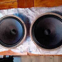 CELESTION GREEN BACK (UK)