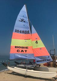 Hobie cat 16