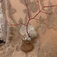 Oggetto da wunderkammer 