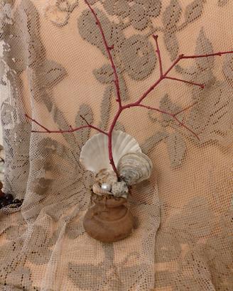 Oggetto da wunderkammer 