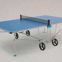Tavolo da ping pong regolamentare 